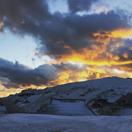 Chalet Gasparjeva Velika Planina Kamnik Eksteriør bilde